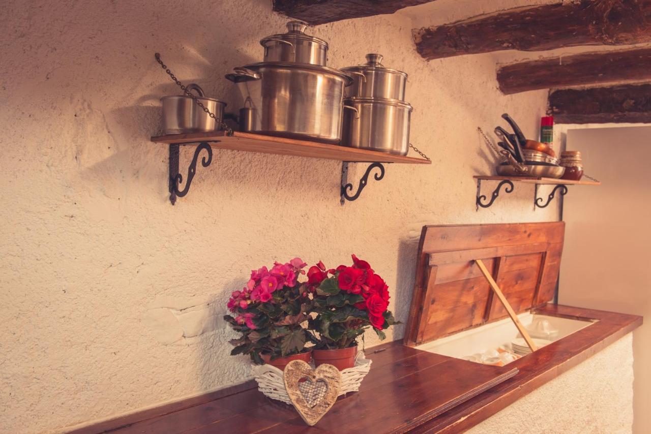 Complex Rural Caubet Farm stay *